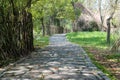 spring path in the park