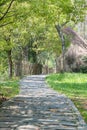 spring path in the park