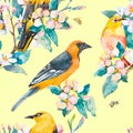 Spring pattern. Flowering branch. Oriole and White-eye bird watercolor pattern. Bees,wasp. Watercolor. Vector.