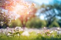 Spring petals on branches in picturesque rural landscape.