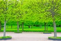 Spring in Petergof park (St. Petersburg, Russia) Royalty Free Stock Photo