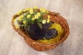 Spring photo with flowers in rubber children`s boots in a basket