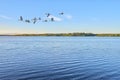 Spring photo of flying seagull over water in the dusk. A flock of birds flies over the blue rippling sea water to fish Royalty Free Stock Photo