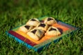 Spring picnic on the grass with homemade cookies on wooden board. Hamantaschen cookies or hamans ears for Purim. Royalty Free Stock Photo