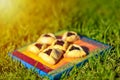 Spring picnic on the grass with homemade cookies on wooden board. Hamantaschen cookies or hamans ears for Purim. Royalty Free Stock Photo