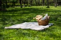 Spring picnic in a park