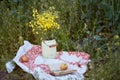 Spring picnic in rapeseed field. Iron vintage can with bright rapeseed flowers, book, apple at sunset. Time for yourself