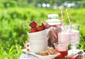 Spring picnic with strawberry