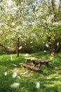 Spring picnic table