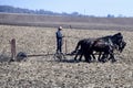 Amish Farmer