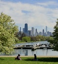 Chicago Skyline From Diversey Harbor #2