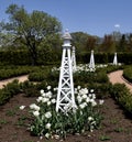 White Cubed Tulip Garden Royalty Free Stock Photo