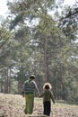 Spring in a pine forest with brother little sister holding hands Royalty Free Stock Photo