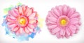 Spring pink flowers, Daisy, watercolor and 3d realism Royalty Free Stock Photo