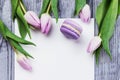 Spring pink flowers tulips, violet macaron and white sheet on a gray wooden background. Top view, copy space