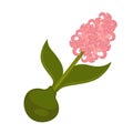 Spring pink syringa flower with green stem and leaves