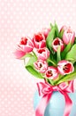 Spring pink tulip flowers Royalty Free Stock Photo