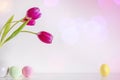 Spring pink tulip flowers with Easter eggs on pink background Royalty Free Stock Photo