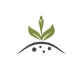 spring plant bud icon. sprout, planting and germinate symbol