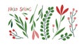 Spring Plant doodle sketch set. Red pink green on white background. Flowers, branches, grass. Hand drawn design elements Royalty Free Stock Photo