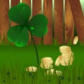 Spring plant fhree-leafed clover with dew and golden coins on with green grass and wooden garden fence background. St. Patrick`s