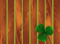 Spring plant fhree-leafed clover with dew or water drops on wooden brown garden fence background. St. Patrick`s day, Saint, Patri