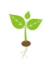 Spring plant seedling icon Royalty Free Stock Photo