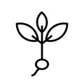 Spring plant seedling line icon Royalty Free Stock Photo