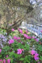 Spring Plantation Garden South Carolina Royalty Free Stock Photo