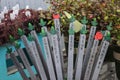 Spring planting - Decorative metal herb and tomato and strawberries stakes displayed next to seedlings in greenhouse Royalty Free Stock Photo