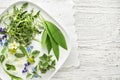 Spring plants healthy food ingredients