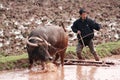 Spring ploughing