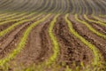 Spring plowed field curves