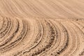 Spring plowed field curves