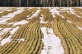 Spring Plowed Field Partly Covered Winter Melting Snow Ready For New Season. Ploughed Field In Early Spring. Farm Royalty Free Stock Photo