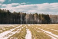 Spring Plowed Field Partly Covered Winter Melting Snow Ready For New Season. Ploughed Field In Early Spring. Farm Royalty Free Stock Photo