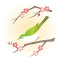 Spring plum flower and nightingale bird illustration