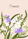 Spring postcard, delicate freesia flowers. Nature post card background design, beautiful blossomed floral plants, blooms