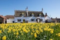Spring. Pretty yellow daffodils with quaint English village thatched cottage Royalty Free Stock Photo