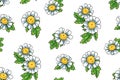 Seamless floral pattern, cute botanical design with large white daisies. Vector. Royalty Free Stock Photo