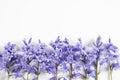 Spring purple flowers below on a table Royalty Free Stock Photo