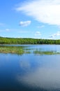 Spring quiet pond and cloud