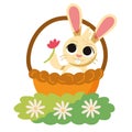 spring rabbit in basket