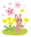 Spring Rabbit, Cherry and Dandelion.