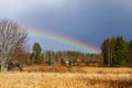 Spring rainbow