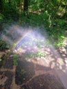 Spring Rainbow on the Patio