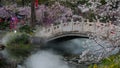 Wuhan - East Lake Cherry Blossom Garden