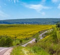 Spring rapeseed yellow blooming fields