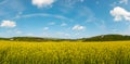 Spring rapeseed blooming fields view, blue sky with clouds in sunlight panorama. Pyatnychany tower (defense structure, 15th Royalty Free Stock Photo