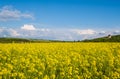 Spring rapeseed yellow blooming fields view, blue sky with clouds in sunlight. Pyatnychany tower defense structure, 15th century Royalty Free Stock Photo